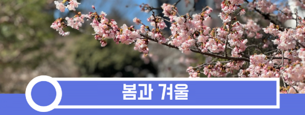 봄과 겨울.png
