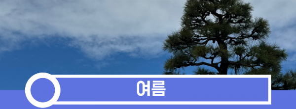 여름.png
