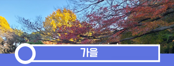 가을.png