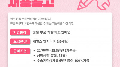 (n-3) 세일즈 엔지니어 정사원