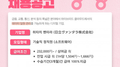 (n-18) 히타치밴타라 소프트웨어 기술직 정사원