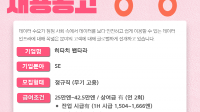 (n-44) 히타치밴타라 SE/ 정사원