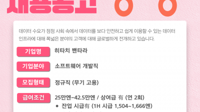 (n-43) 히타치밴타라 소프트웨어 / 정사원