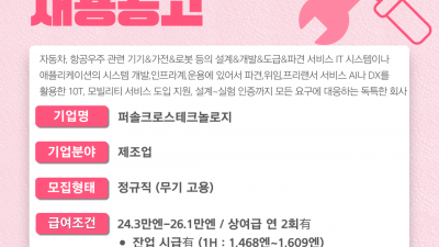 (n-42) 퍼솔크로스테크놀로지 / 정사원